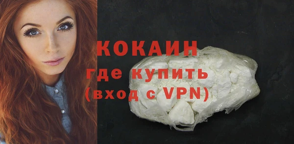 мдпв Осташков