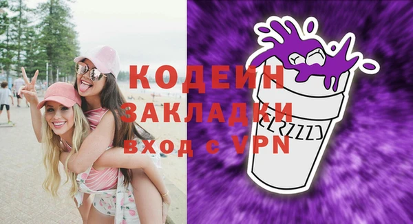 мдпв Осташков