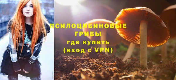 мдпв Осташков