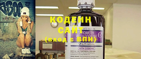 мдпв Осташков