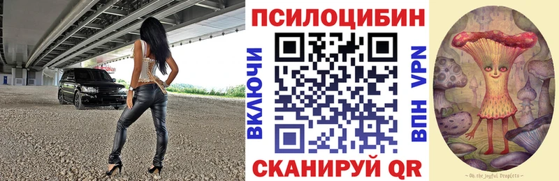 Псилоцибиновые грибы Psilocybe  купить   Абдулино 